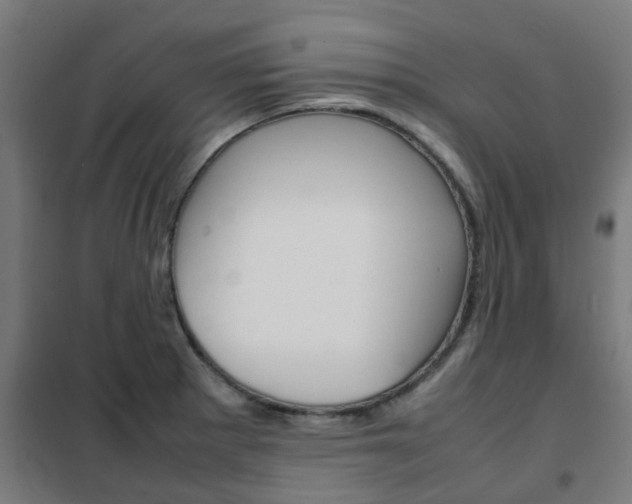 X0000102251281200807250853