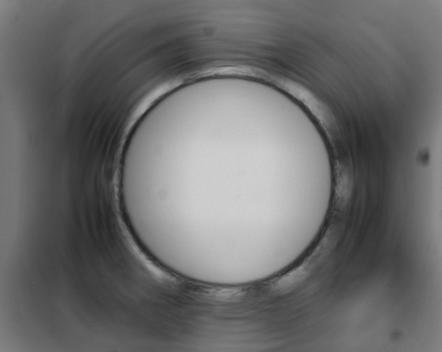 X0000102251282200807250853