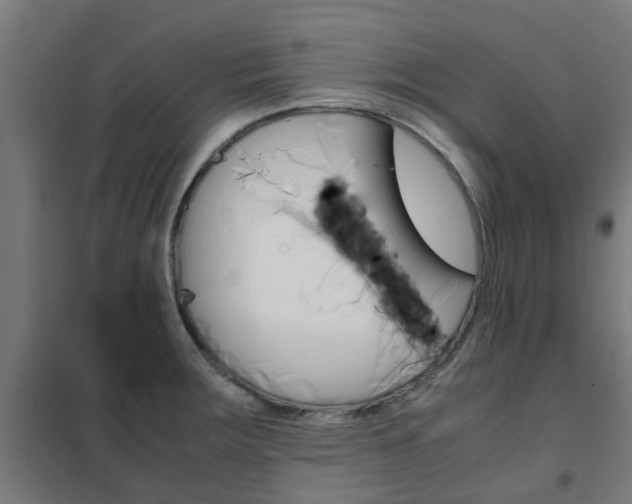 X0000102251283200807250853