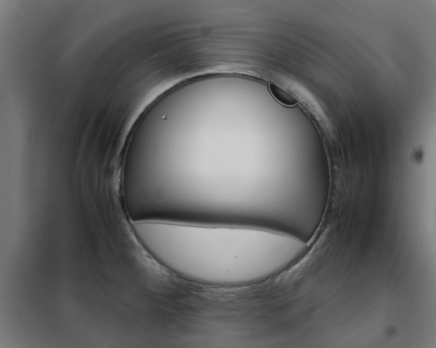 X0000102251284200807250853