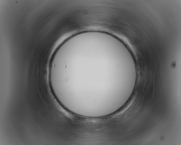 X0000102251286200807250853