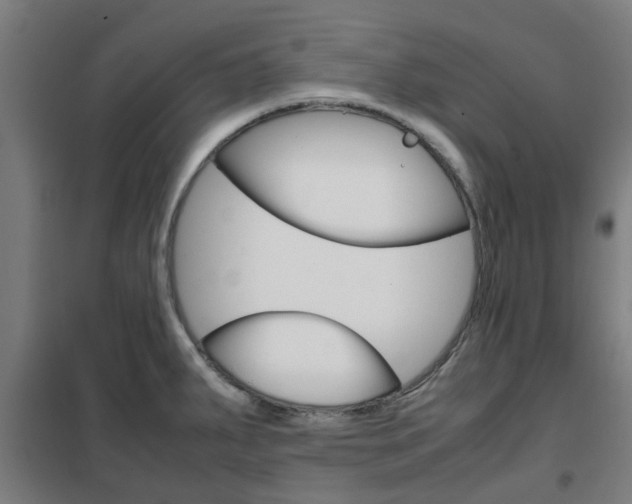 X0000102251287200807250853