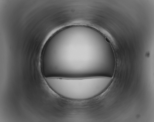 X0000102251288200807250853