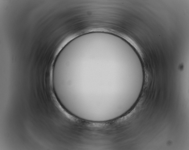 X0000102251290200807250853