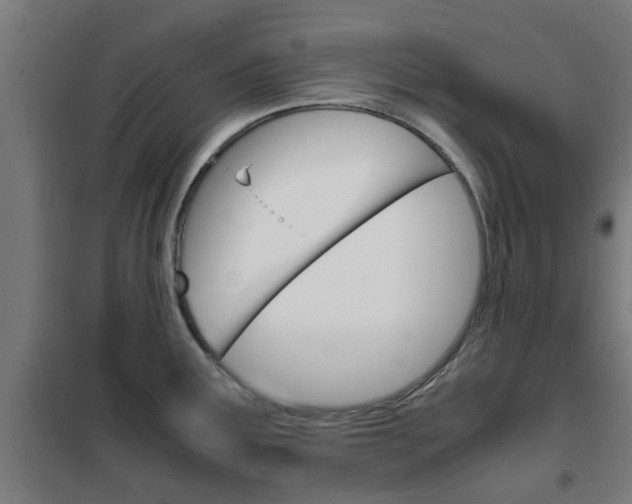 X0000102251291200807250853