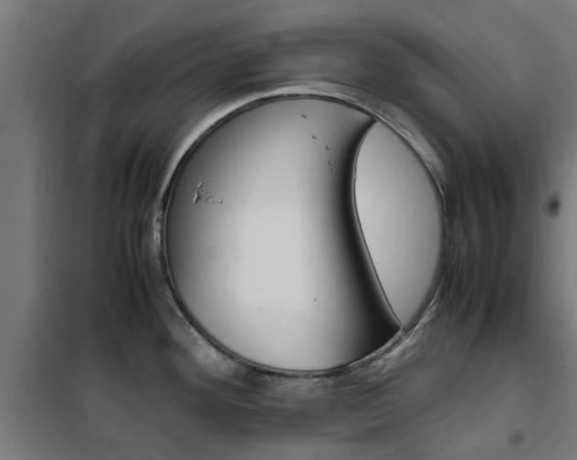 X0000102251292200807250853