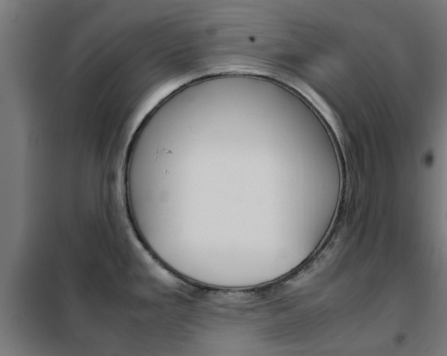 X0000102251293200807250853