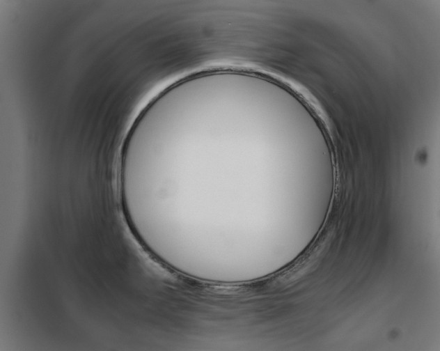 X0000102251295200807250852