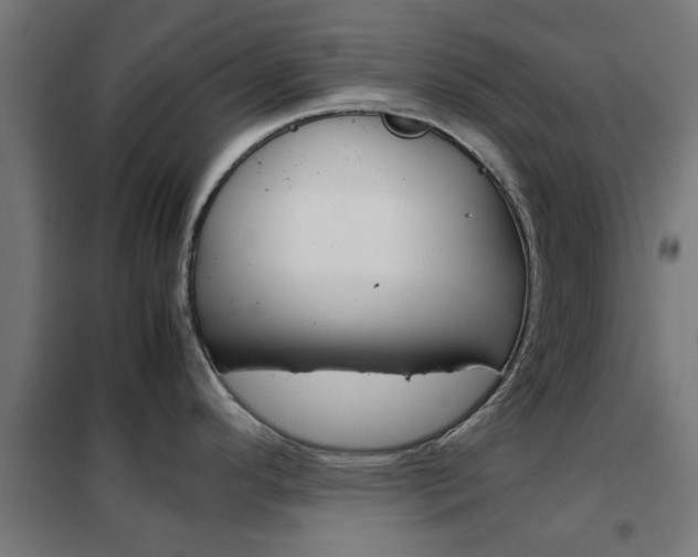 X0000102251296200807250852