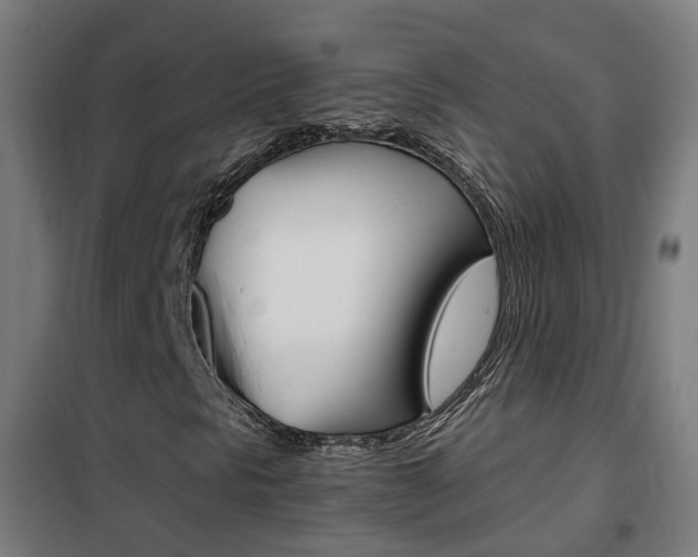 X0000102251297200807250852