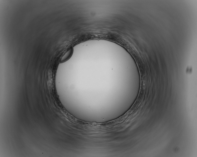 X0000102251298200807250852