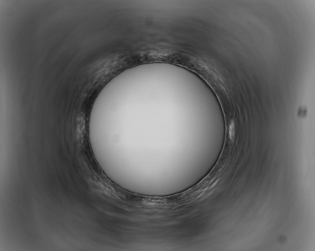 X0000102251299200807250852