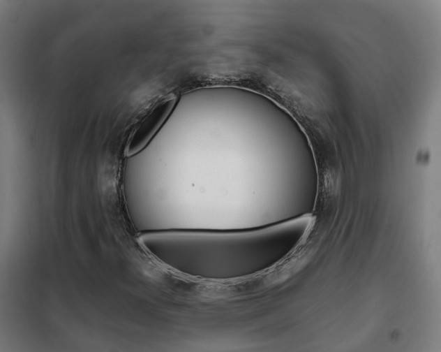 X0000102251300200807250852