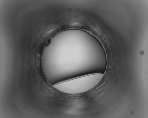 X0000102251301200807250852