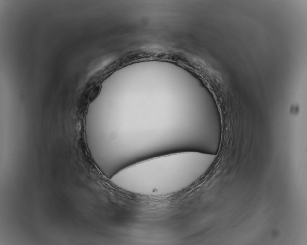 X0000102251302200807250852
