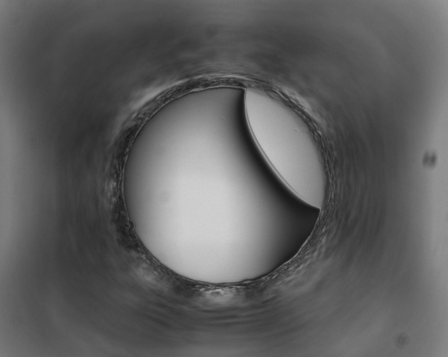 X0000102251303200807250852