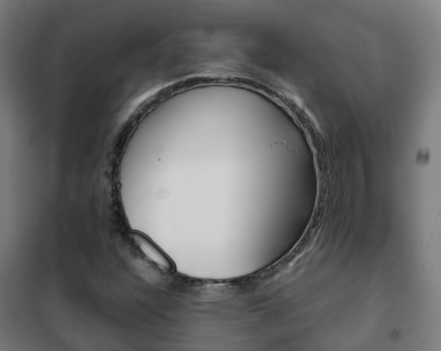 X0000102251304200807250852