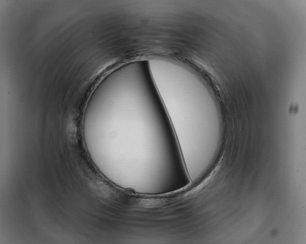 X0000102251305200807250852