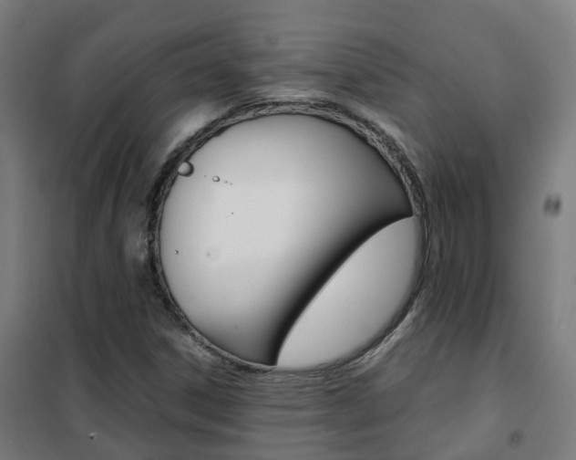 X0000102251306200807250852