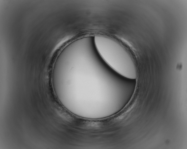 X0000102251309200807250852