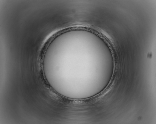X0000102251310200807250852