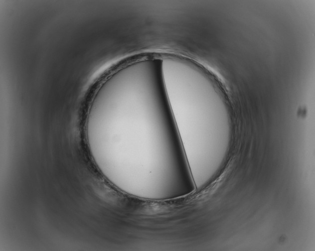 X0000102251311200807250852