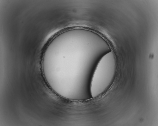 X0000102251312200807250852