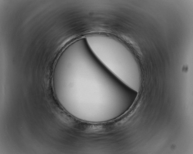 X0000102251313200807250852
