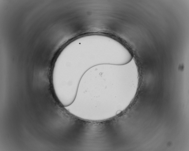 X0000102251314200807250852