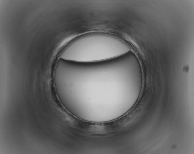 X0000102251315200807250852