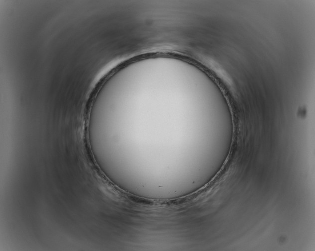 X0000102251316200807250852