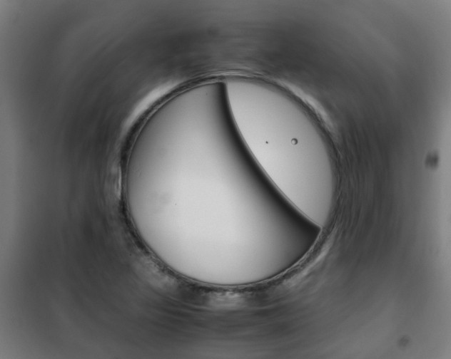 X0000102251317200807250852