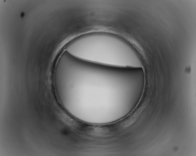 X0000102251318200807250852