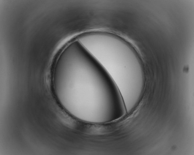 X0000102251319200807250852