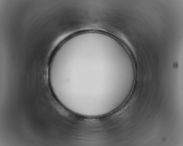 X0000102251320200807250852