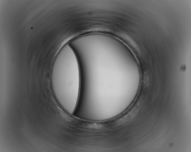 X0000102251321200807250852