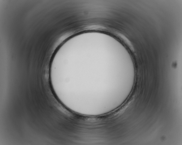 X0000102251322200807250852