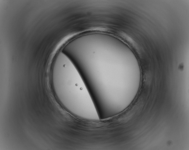 X0000102251323200807250852