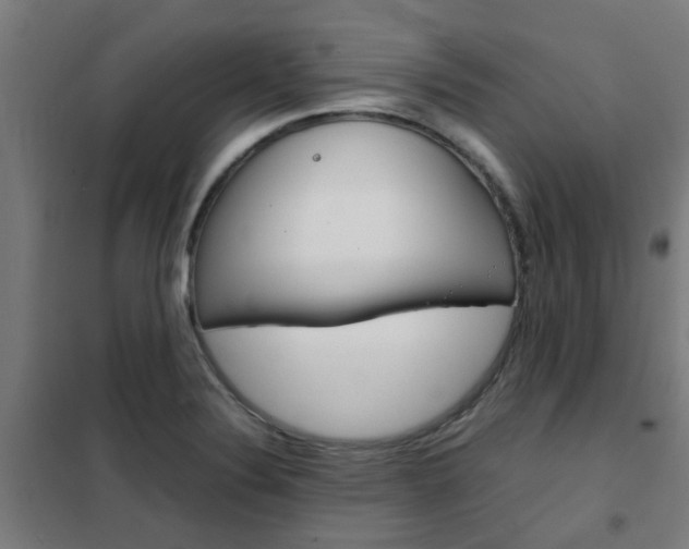 X0000102251324200807250852