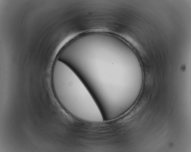 X0000102251325200807250852