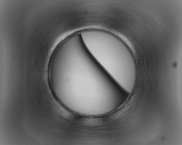 X0000102251327200807250852