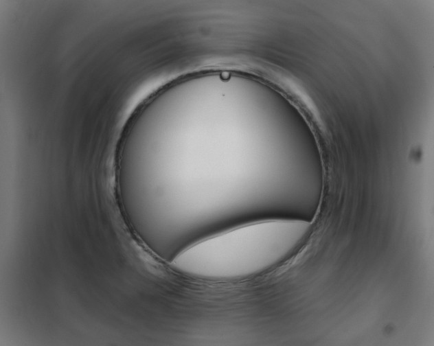 X0000102251328200807250852