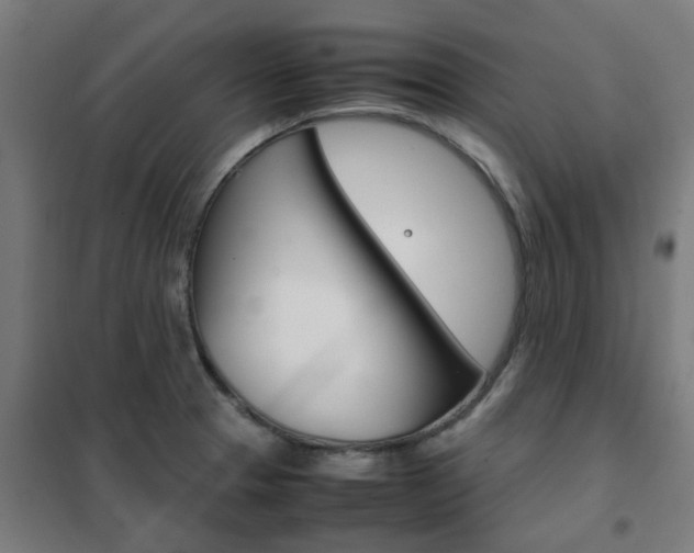 X0000102251329200807250852
