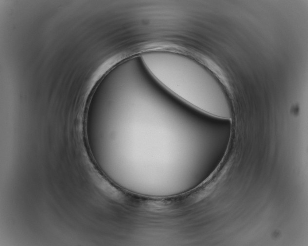X0000102251330200807250852