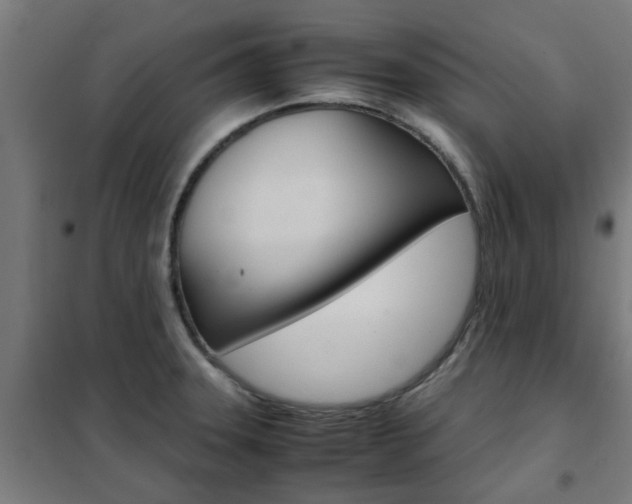 X0000102251331200807250852