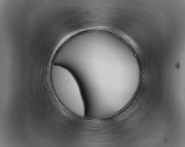 X0000102251332200807250852