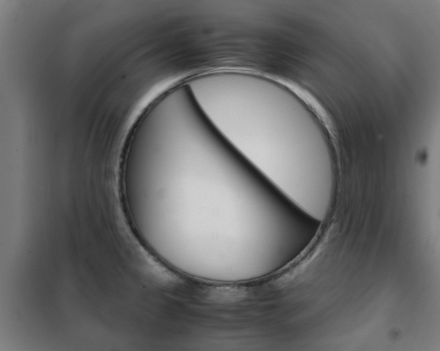 X0000102251333200807250852