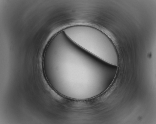 X0000102251334200807250852