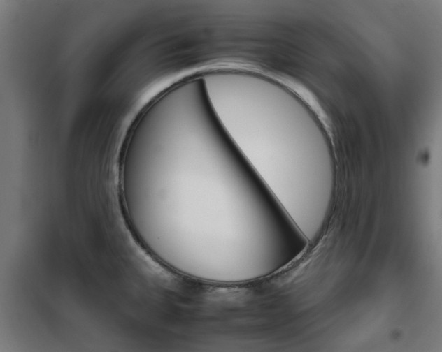 X0000102251335200807250852
