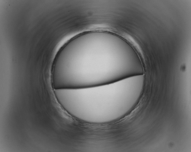 X0000102251336200807250852